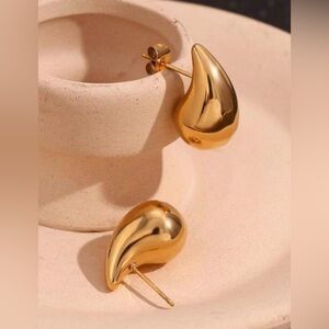 New Teardrop Shaped Earrings Stainless Steel
